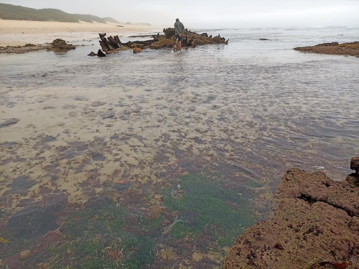 Cannon Rocks Beached House On Golden Sanddunes מראה חיצוני תמונה