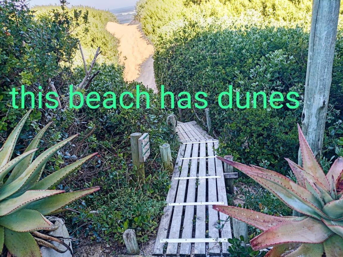 Cannon Rocks Beached House On Golden Sanddunes מראה חיצוני תמונה