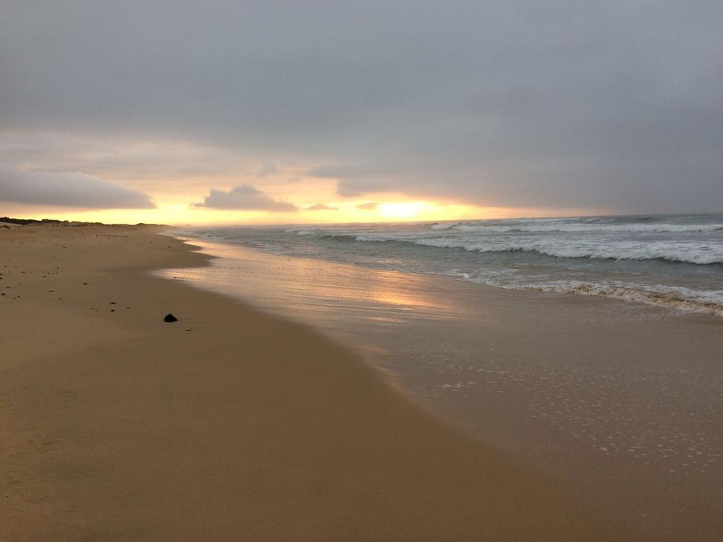 Cannon Rocks Beached House On Golden Sanddunes מראה חיצוני תמונה